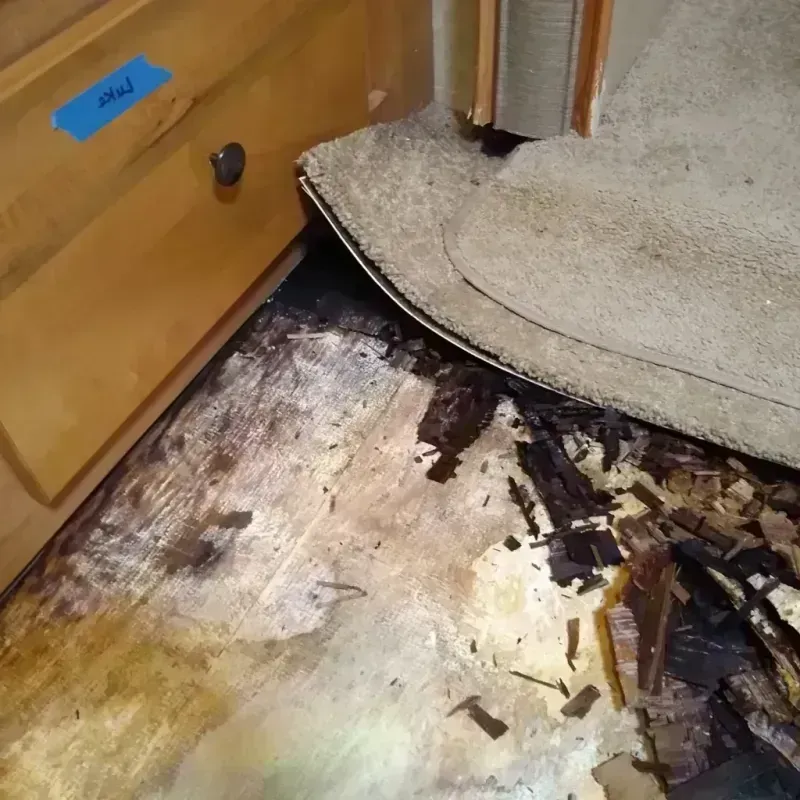 Best Wood Floor Water Damage Service in Sequoyah County, OK